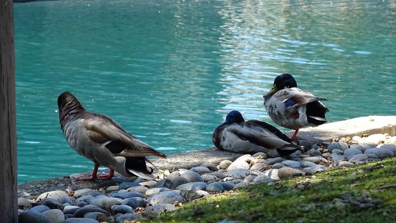 Blue Lagoon Near Apple * Santa Clara